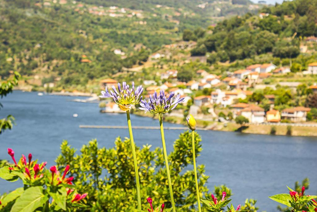 Вілла Casa Da Torre, Porto Manso Ріба-Дуро Екстер'єр фото