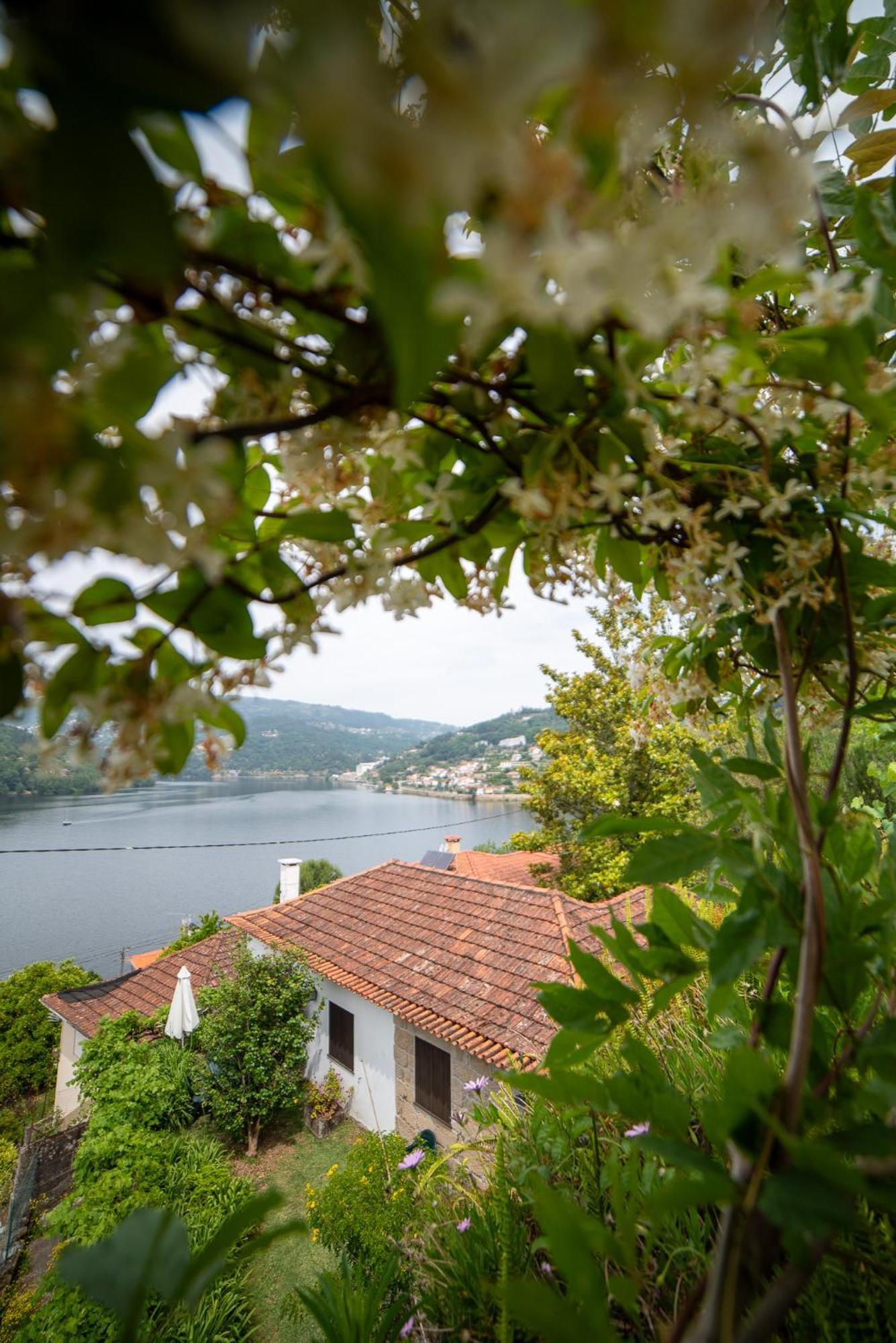 Вілла Casa Da Torre, Porto Manso Ріба-Дуро Екстер'єр фото